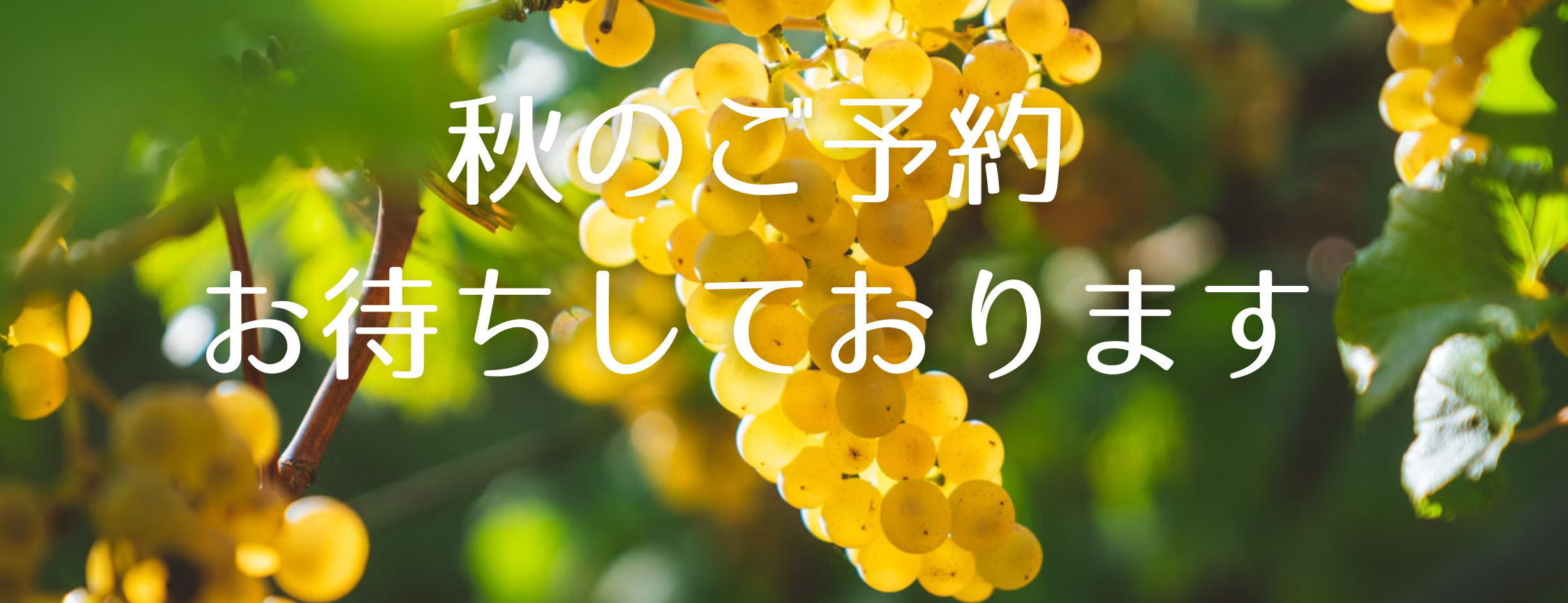 札幌の高齢者引越し・小さな引越し