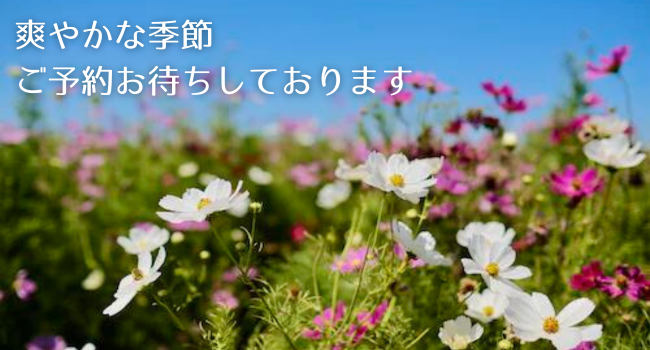 赤帽札幌優駿サービス高齢者の引越し・一般の小さな引越し受付中